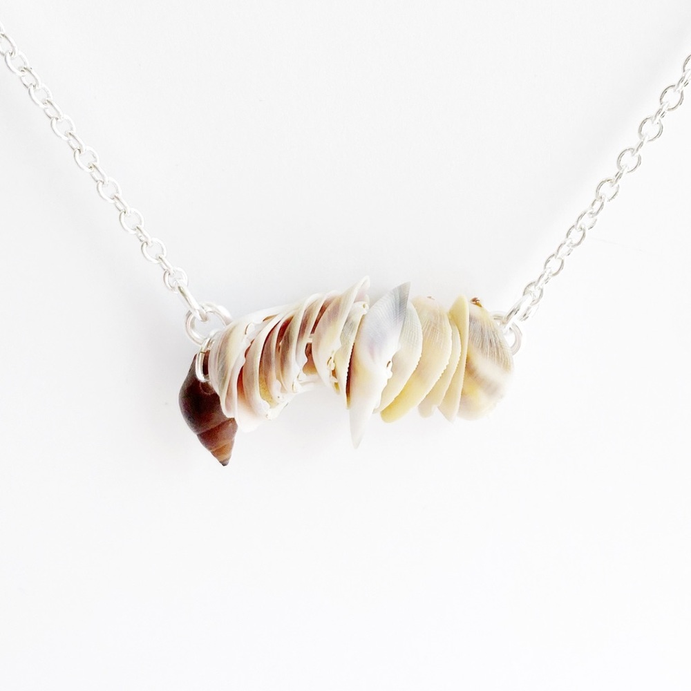 Tiny Natural White & Lavender Coquina Shell Set - Picture 2 of 7